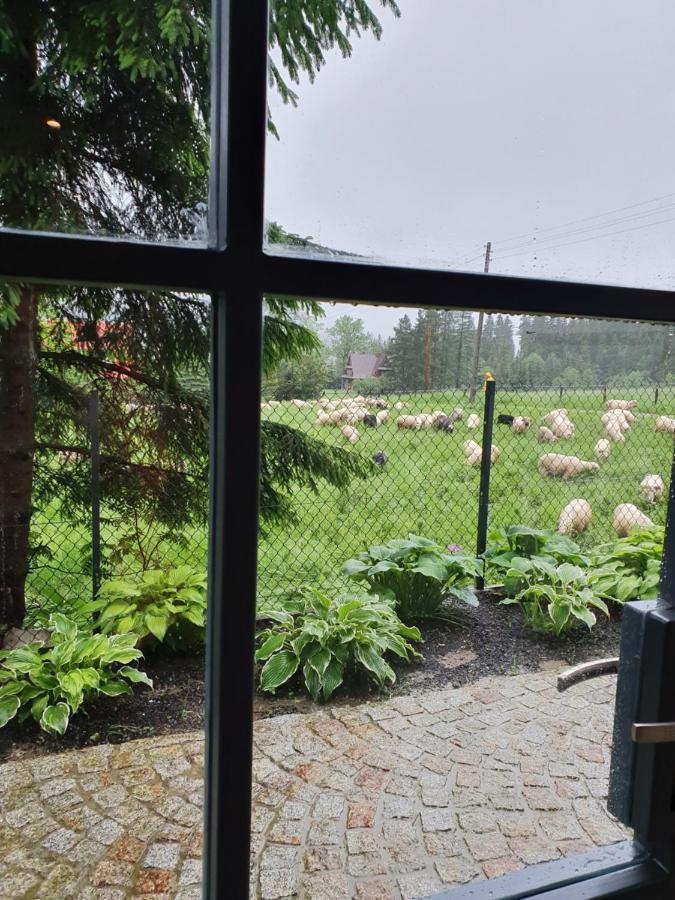 Na Bundowkach Homestay Zakopane